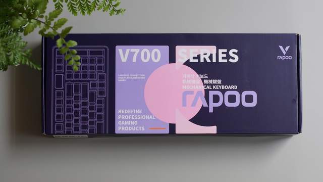 V700 DIY-98键盘不后悔澳门新葡京这么劲、那么美选雷柏(图17)