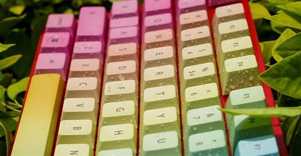 看：机械键盘入门手册澳门新葡京网页菜鸟必(图1)